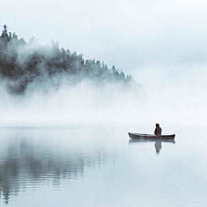 Into the fog