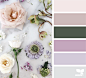 Design Seeds : Design Seeds color palettes ... posted daily for all who love color.