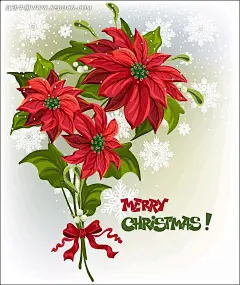 圣诞花背景卡片模板AI|christmas|merry|高档卡片|节日贺卡|节日卡片|节日素材|卡片设计|平安夜|清新背景|圣诞|圣诞节|圣诞节卡片|圣诞节快乐|圣诞夜|矢量|矢量素材|雪花背景