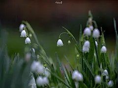 分享一组超治愈的电脑壁纸iPad锁屏壁纸​​​​