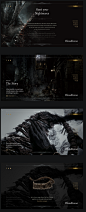 Bloodborne - website on Web Design Served