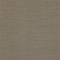 Zoffany - Luxury Fabric and Wallpaper Design | Products | British/UK Fabric and Wallpapers | Tussah Silk (ZPAW07007) | Papered Walls Wallpapers
