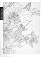 《工笔画线描动物画谱》之金鱼篇