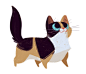 445: Munchkin Cat