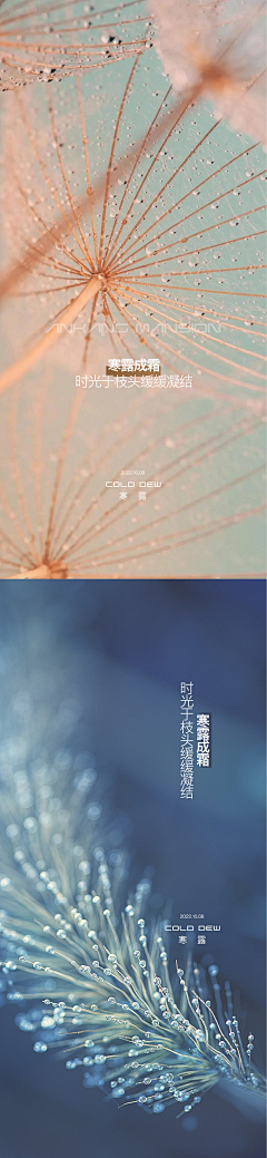 北极独舞者~采集到节气