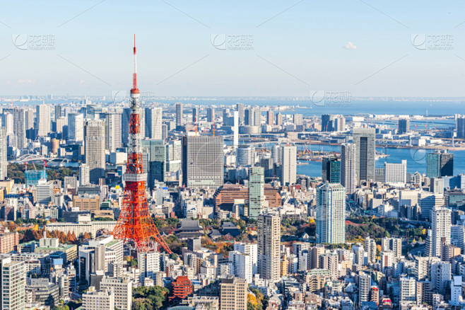 现代,东京塔,城市天际线,全景,航拍视角,动物眼睛,鸟类,天空,早晨,夏天