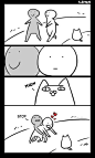 其中包括图片：Cats, Beavers & Ducks: Photo