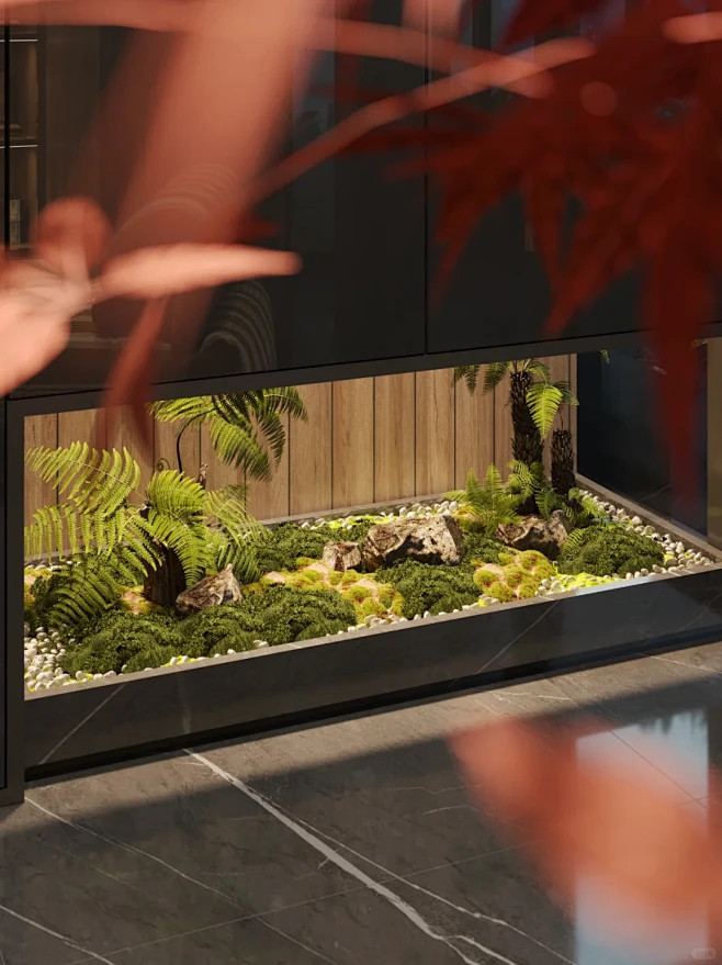 精致室内植物软装 橱窗框景 - 小红书