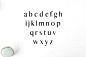 Abiah Sans Serif字体