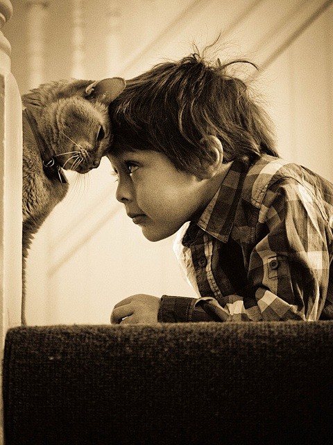 The boy and the cat ...