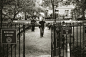 people in New York City