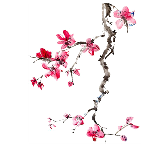 ♡古风素材♡免扣♡花朵