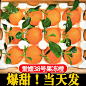 爱媛38号_淘宝搜索