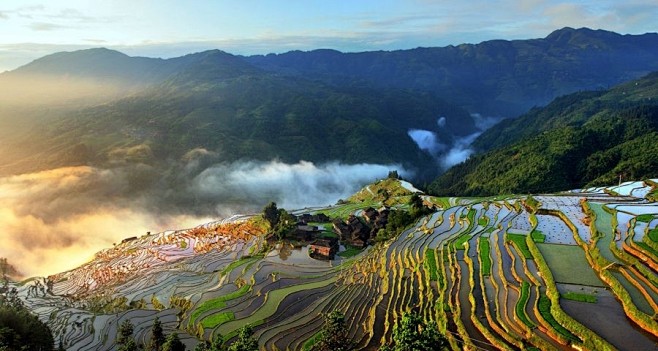 旅游风 - 深度旅游活动：去茶园梯田河流...