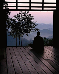 不正常的橙子采集到专用参考