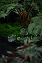 麓湖C25钰潭样板岛 / 因澈景观 – mooool木藕设计网