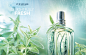 L’Occitane – Verveine – Daniel Schweizer