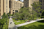 New York-Presbyterian & Columbia University Medical Campus Joint Master Plan - SCAPE : The Columbia University Medical Center and the New York-Presbyterian Hospital are sister institutions that share the Washington Heights neighborhood as a campus. SC