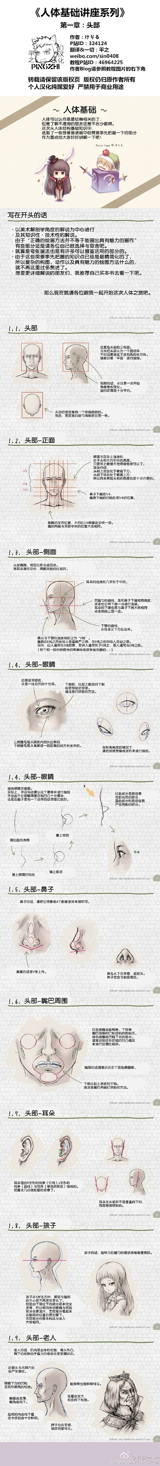 《人体基础讲座系列》共六章-头部、颈部、...