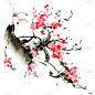 樱花开花树