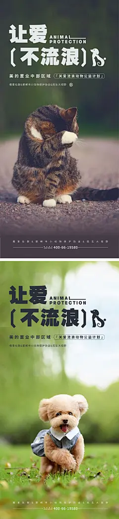 流浪狗公益海报