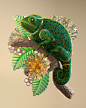 3D illustration chameleon Flowers Nature reptile