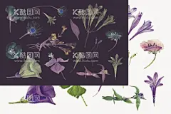 花纹    - 源文件下载【酷图网】花纹,花瓣,花,婚庆,花束,花盆,园艺,花店,花卉,叶子,绿色叶子,手绘叶子,花纹花朵,手绘花纹,本草,手绘画,牡丹花,玫瑰花,茉莉花,手绘花,手绘,手绘插画,本草纲目,绿色植物,美丽花纹,插画,绘画,牵牛花,