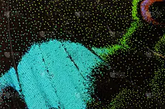 翅膀,蝴蝶,式样,纹理,自然,野生动物,脆弱,图像,鳞翅类,动物斑纹