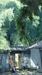 微博 – 随时随地发现新鲜事