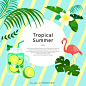 夏季热带主题海报