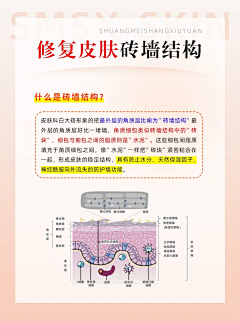 wty_loo采集到皮肤管理