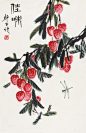 娄师白 · 花鸟欣赏 … ​​​​