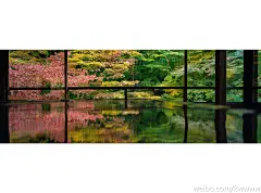 第80000次旅行的照片 - 微相册