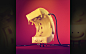 Top Creative Work On Behance : Showcase and discover creative work on the world's leading online platform for creative industries.