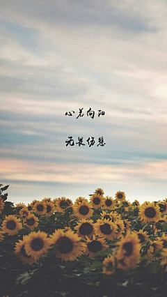 Empressゝ没心采集到启动页