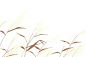 手绘水彩芦苇丛植物透明背景免抠PNG图案 装饰PS设计合成素材 (67)