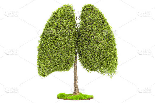 树在肺的形状, 生态概念。3d 渲染