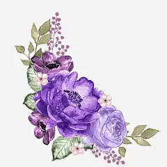 手绘蓝色美丽花朵花卉 包装 设计图片 免费下载 页面网页 平面电商 创意素材 png素材