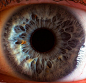 sheerio-stormer777:眼睛--瞳孔


Extreme close-ups of human eyes by Suren Manvelyan

WOAH

Fascinating 