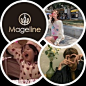 @麦吉丽Mageline 的个人主页 - 微博