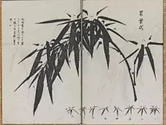 【沈铨画竹】 ​