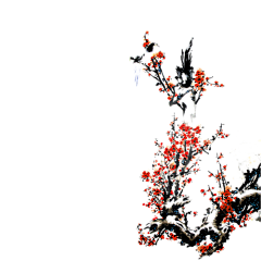 油盐不进采集到免扣素材