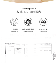 海苔啊海苔采集到无痕内裤