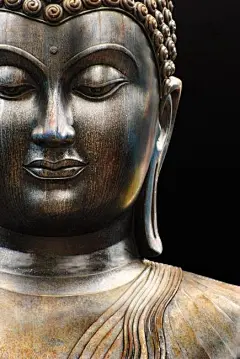 觉悟世间无常。国土危脆。四大苦空。五阴无我。生灭变异。虚伪无主。心是恶源。形为罪薮。如是观察。渐离生死。——《佛说八大人觉经》