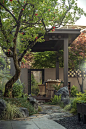 花园，别墅，中式庭院图片下载