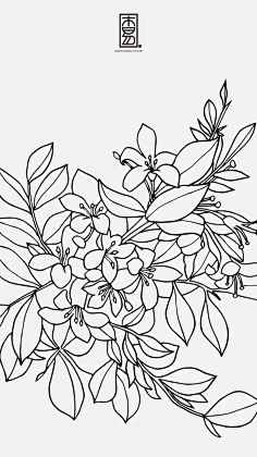 素描-植物-花瓣网|陪你做生活的设计师 | y