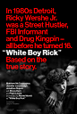 Mega Sized Movie Poster Image for White Boy Rick 