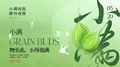 小满节气横版海报