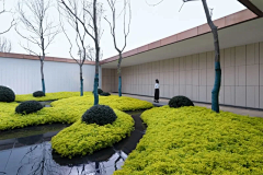 137友夏部采集到植物