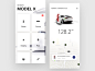 Tesla Car Owner App